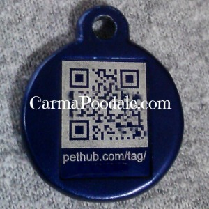 PetHub tag in Navy Blue